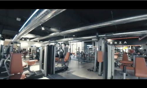 SALA FUERZA